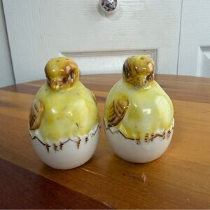 Hatching chicks chickens salt and pepper set